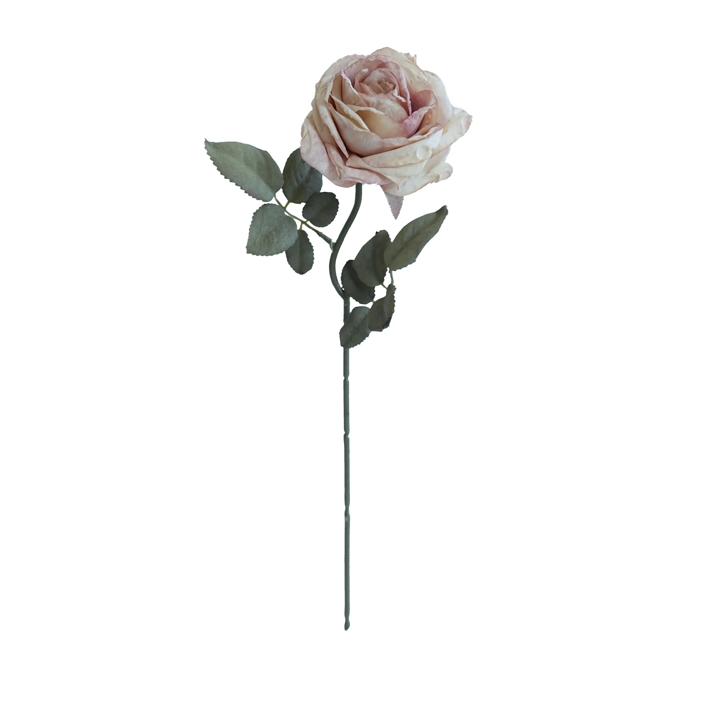 CORK-BORDED Multilyered Roses