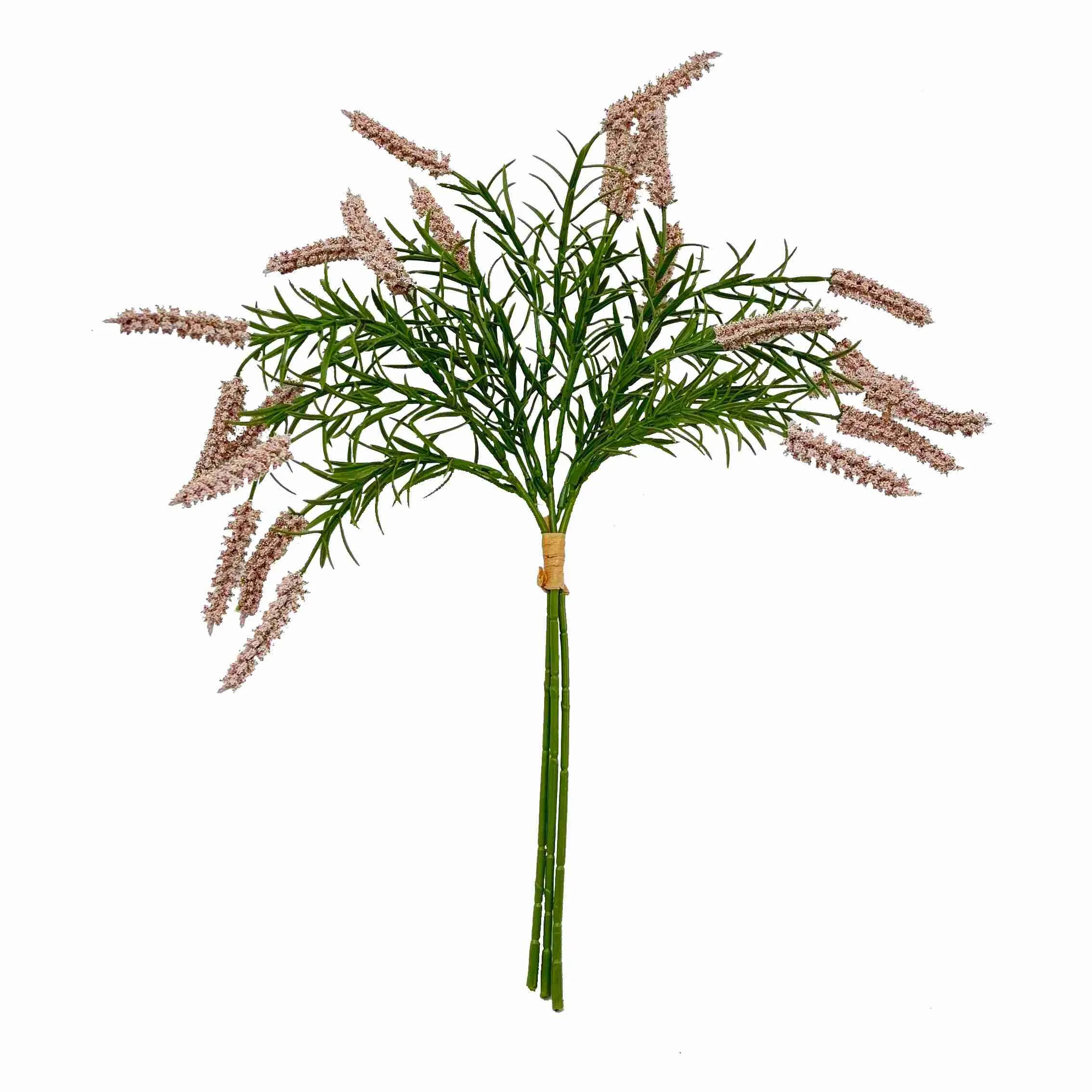 Bündeln Sie die Schilfblumen