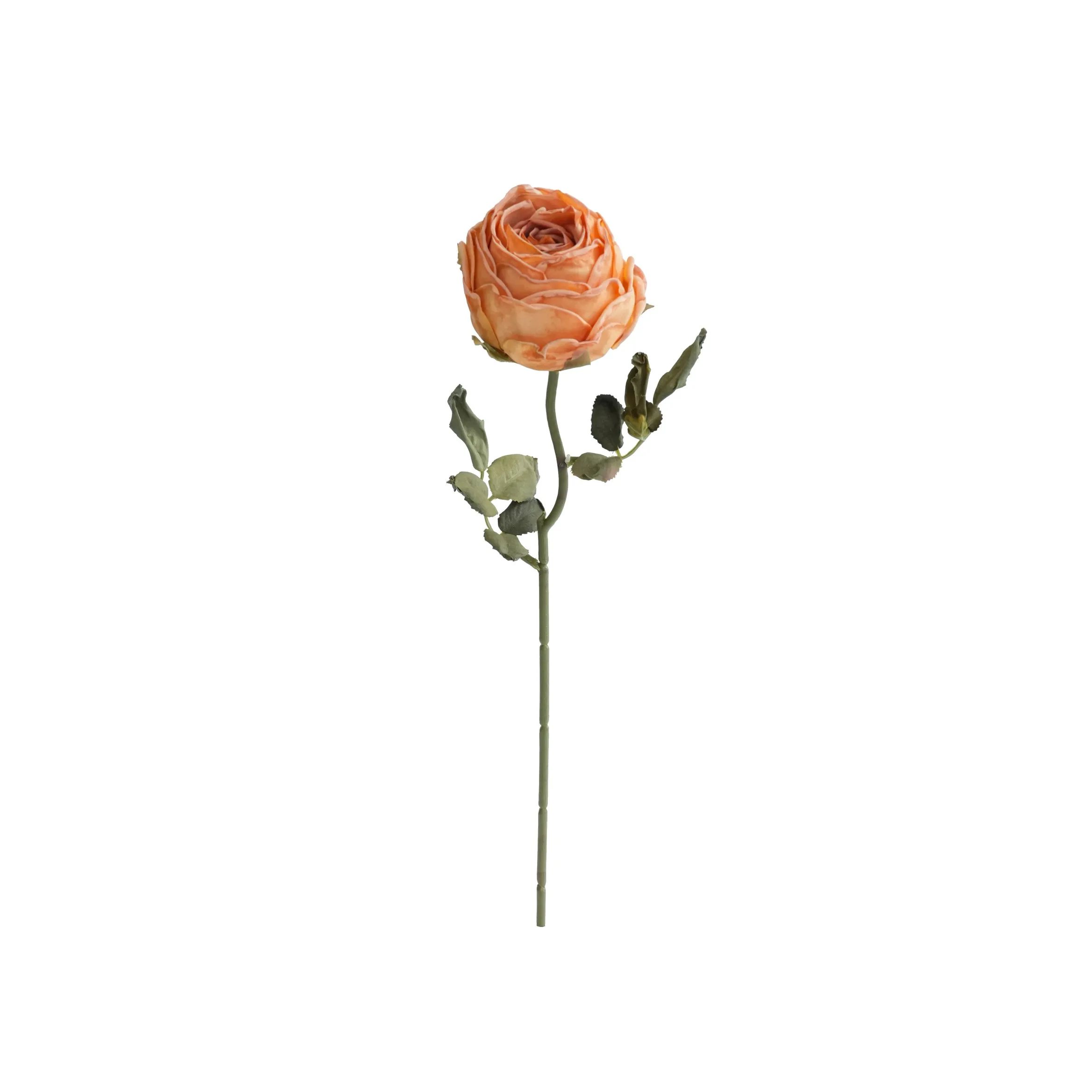 Gehackte runde Rosen