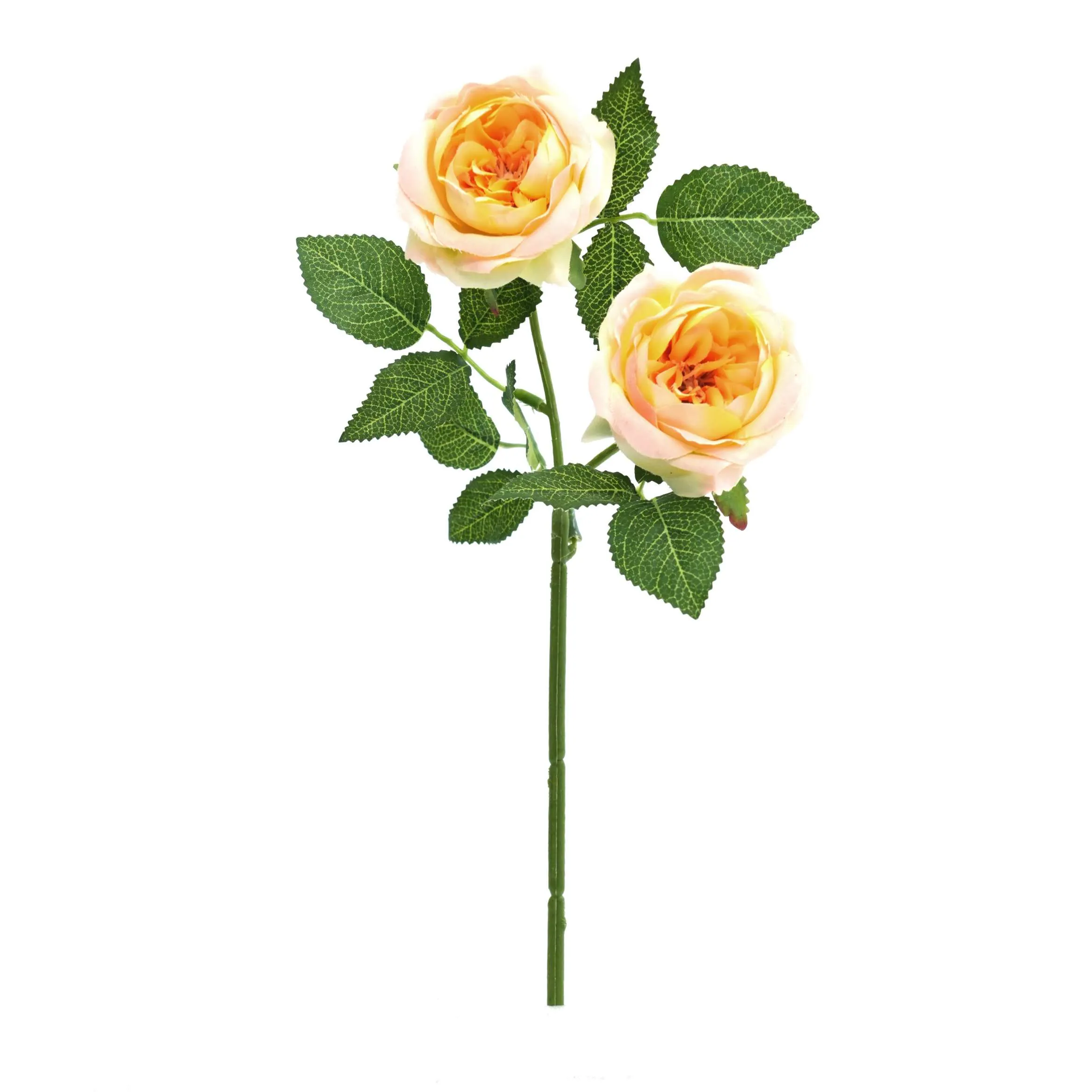 2 Rosen