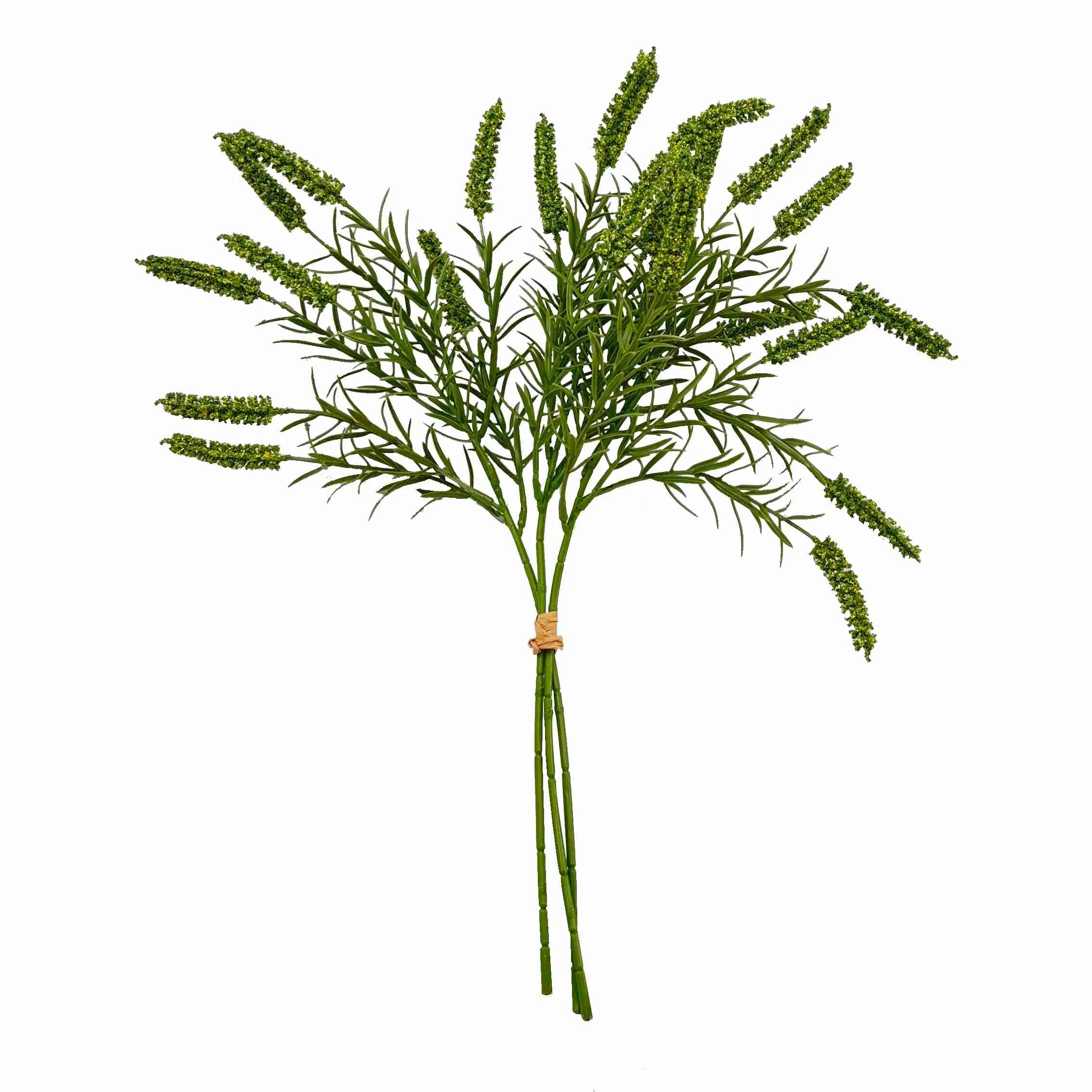 Bündeln Sie die Schilfblumen
