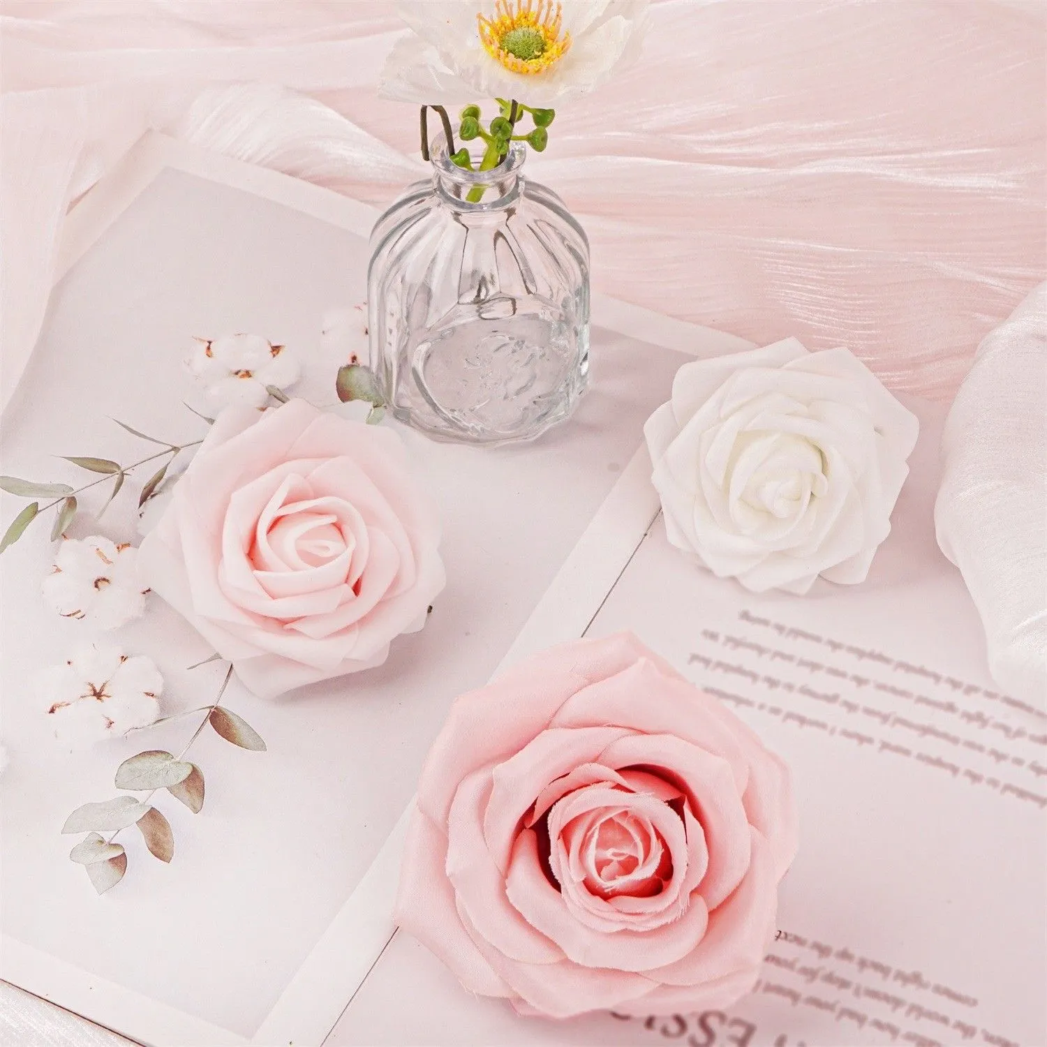 rosa Rose