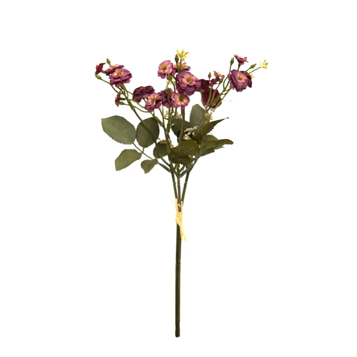 kleine Rosen