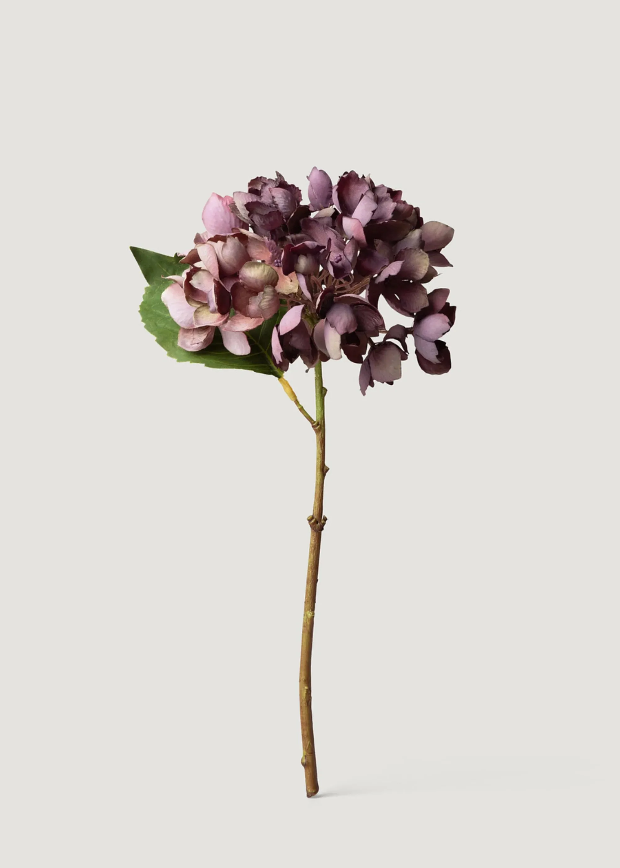 Getrockneter Look gefälschte Hortensie Blume