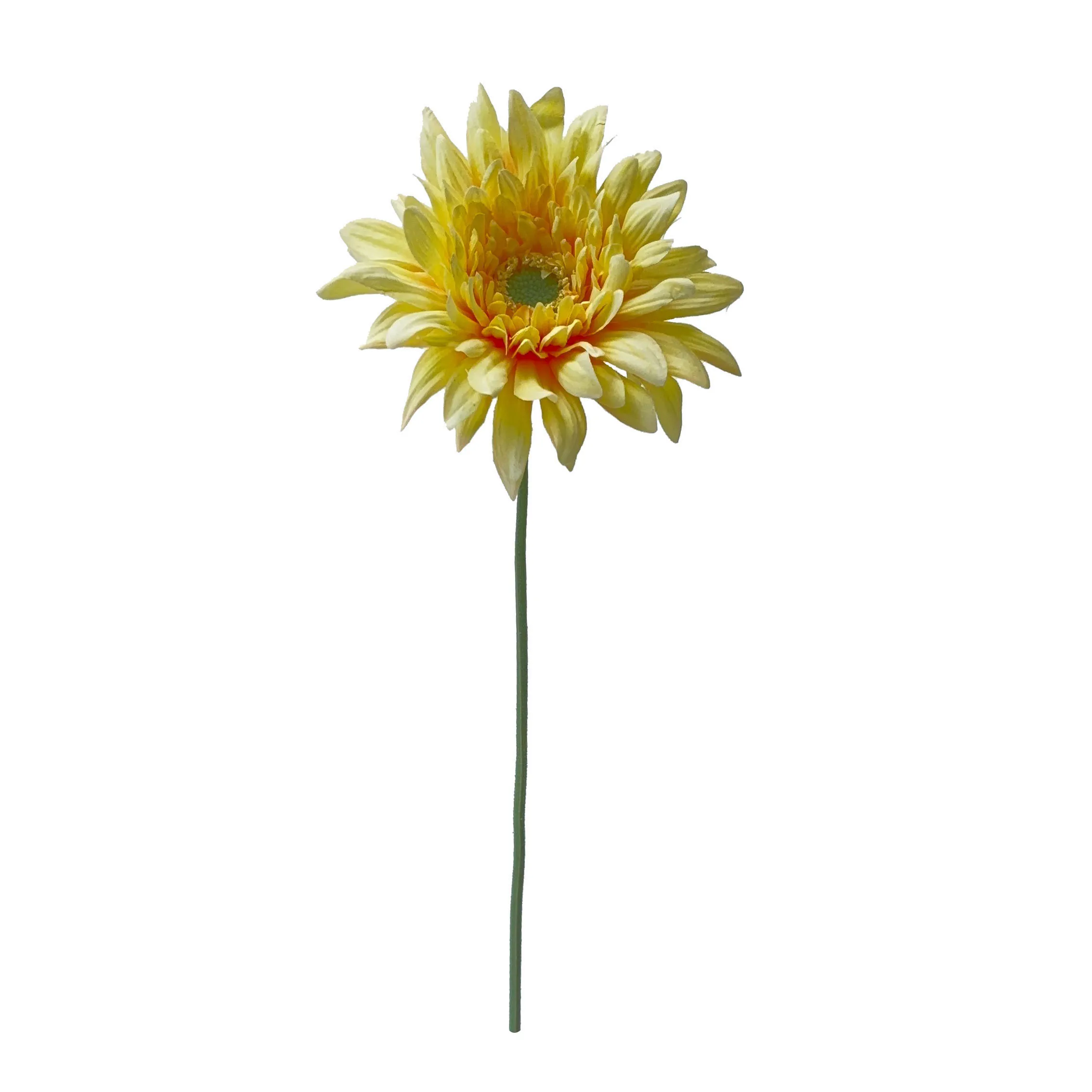 COURGETTE mit Rosenkohl