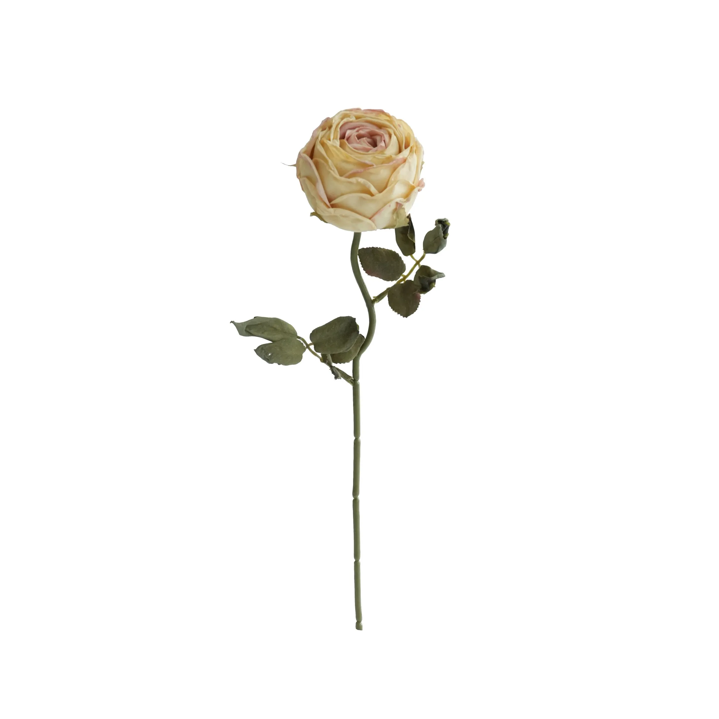 Gehackte runde Rosen