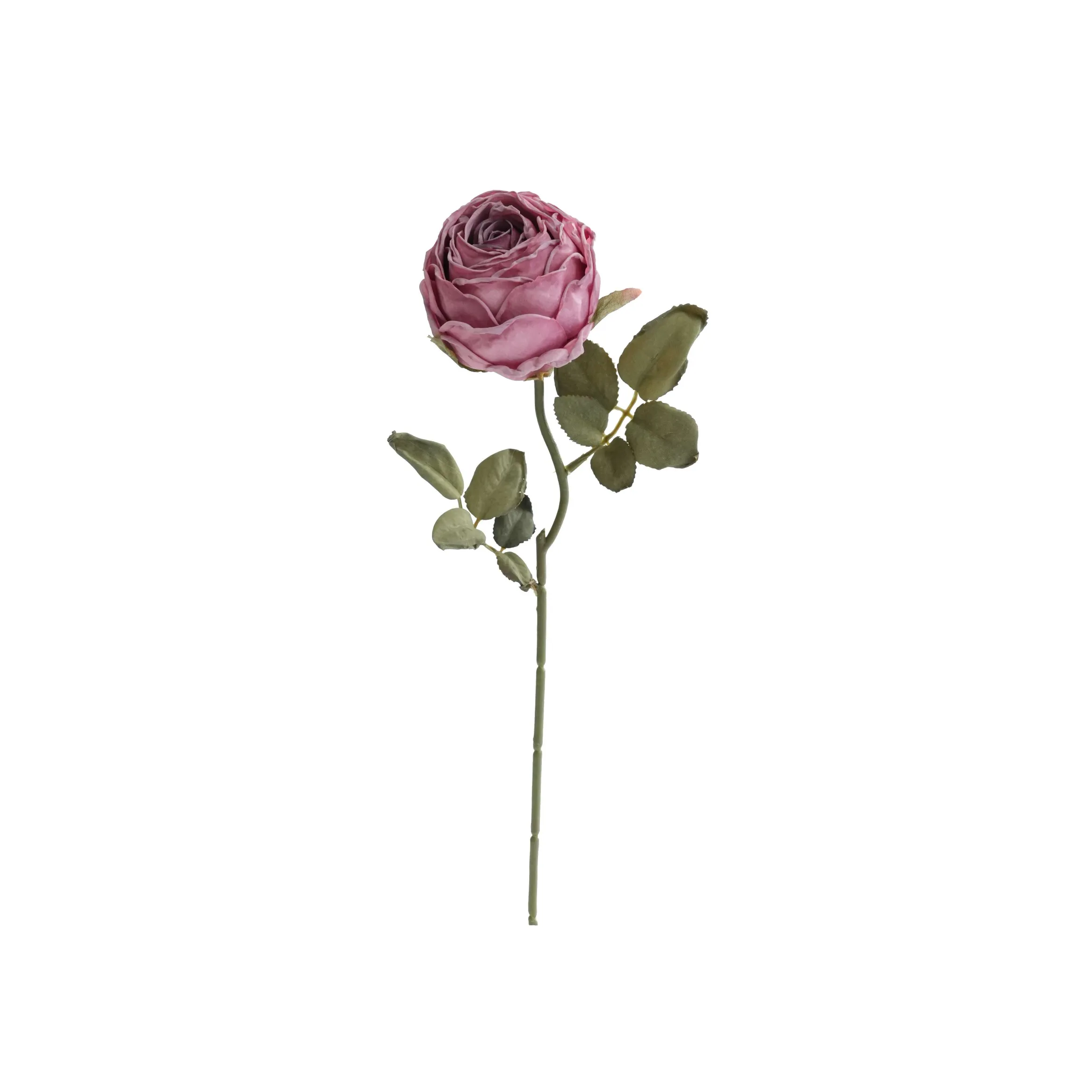 Gehackte runde Rosen