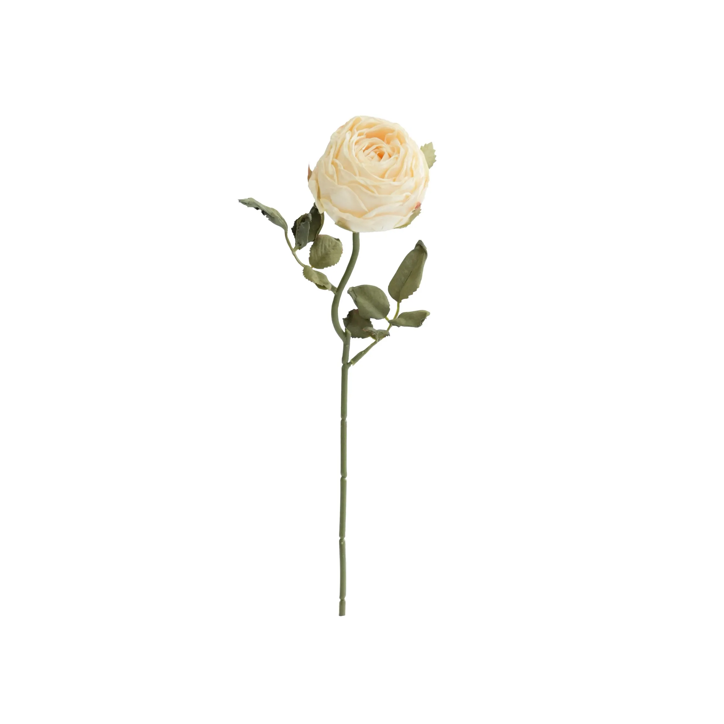 Gehackte runde Rosen