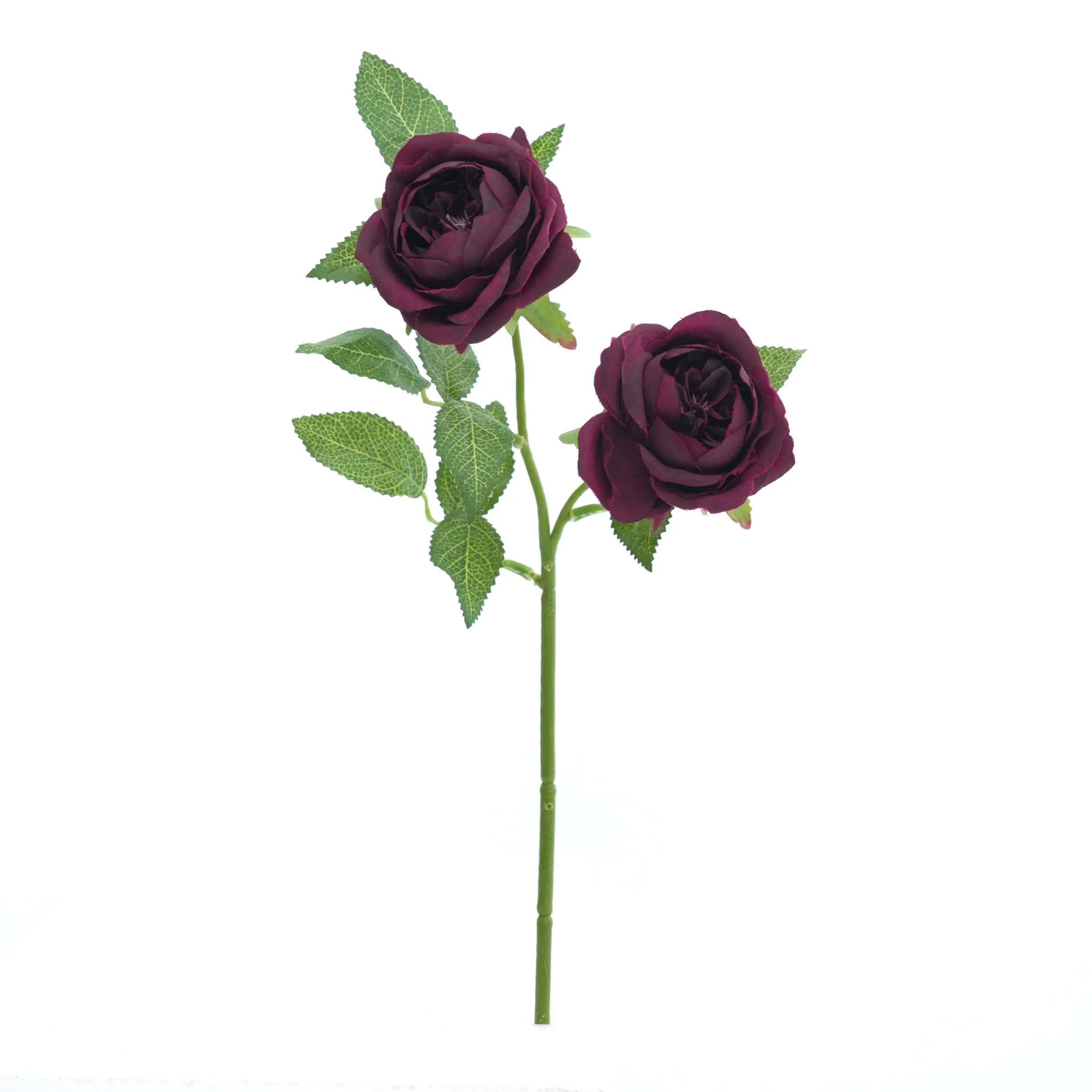 2 Rosen